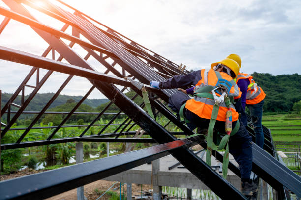 Best Flat Roof Repair Services  in Palo, IA