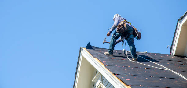 Best Emergency Roof Repair  in Palo, IA